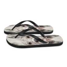 Great Dane Dog Flip-Flops by Design Express