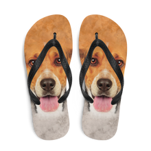 Beagle Dog Flip-Flops by Design Express