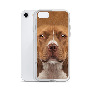Staffordshire Bull Terrier Dog iPhone Case by Design Express