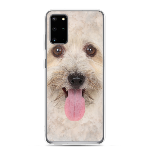 Samsung Galaxy S20 Plus Bichon Havanese Dog Samsung Case by Design Express