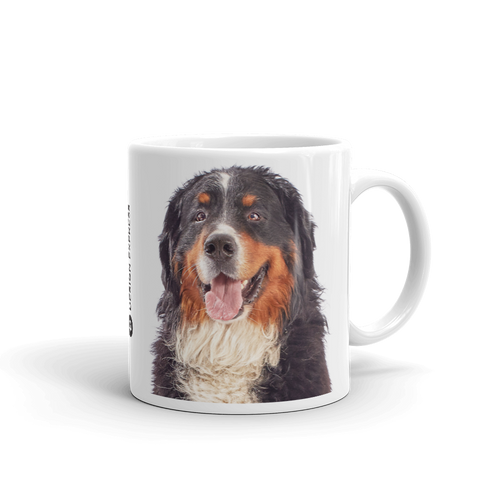 Default Title Bernese Mountain Dog Mug Mugs by Design Express