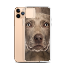 Weimaraner Dog iPhone Case by Design Express