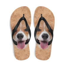 Corgi Dog Flip-Flops by Design Express
