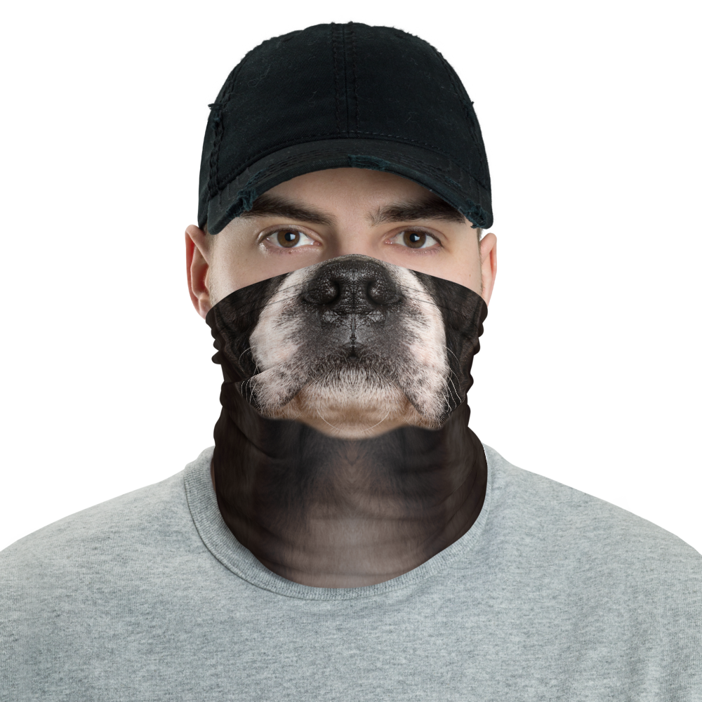 Default Title Boston Terrier Dog Neck Gaiter Masks by Design Express