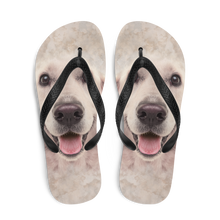 Golden Retriever Dog Flip-Flops by Design Express