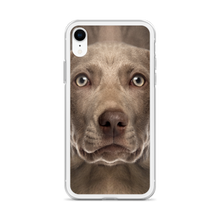 Weimaraner Dog iPhone Case by Design Express
