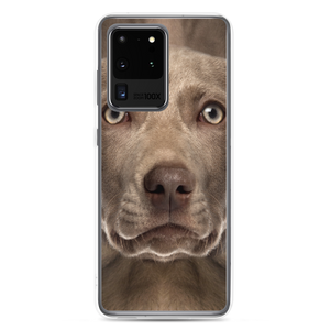 Samsung Galaxy S20 Ultra Weimaraner Dog Samsung Case by Design Express
