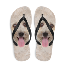Bichon Havanese Dog Flip-Flops by Design Express