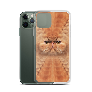 Persian Cat iPhone Case by Design Express