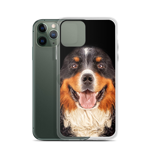 Bernese Mountain Dog iPhone Case by Design Express