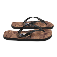 Grizzly Flip-Flops by Design Express