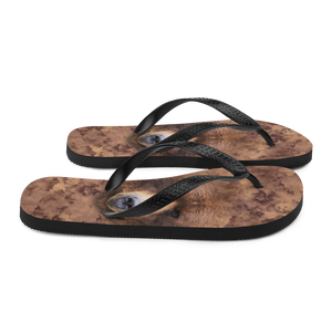 Grizzly Flip-Flops by Design Express