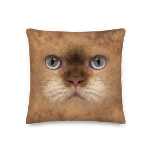 British Cat Premium Pillow by Design Express