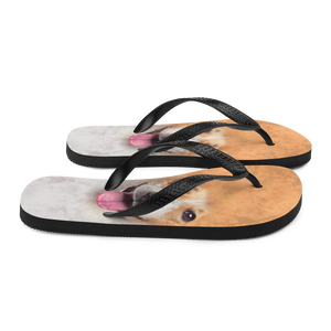 Jack Russel Dog Flip-Flops by Design Express