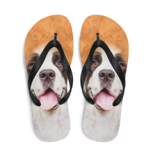 Saint Bernard Dog Flip-Flops by Design Express