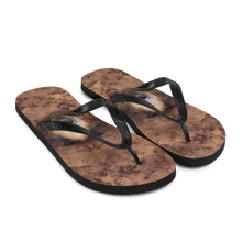 Grizzly Flip-Flops by Design Express