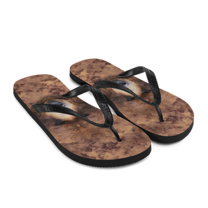 Grizzly Flip-Flops by Design Express