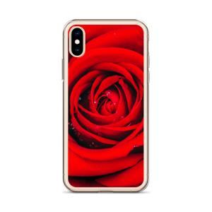 Fresh Red Rose iPhone Case by Design Express