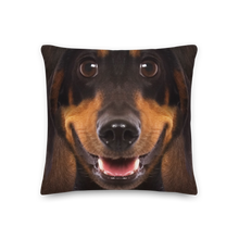 Dachshund Dog Premium Pillow by Design Express