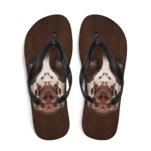 English Springer Spaniel Dog Flip-Flops by Design Express