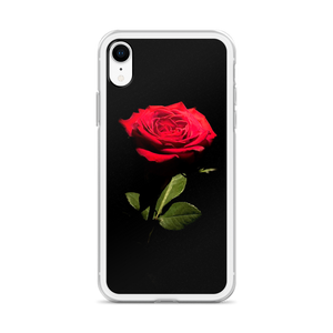 Red Rose on Black iPhone Case by Design Express