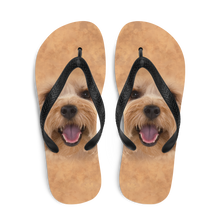 Yorkie Dog Flip-Flops by Design Express