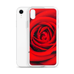 Fresh Red Rose iPhone Case by Design Express