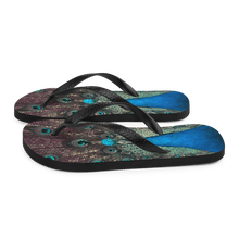 Peacock Flip-Flops by Design Express