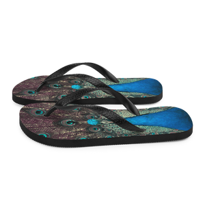 Peacock Flip-Flops by Design Express