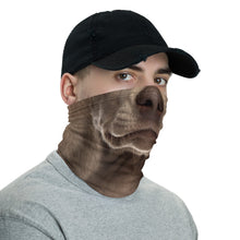 Weimaraner Dog Neck Gaiter Masks by Design Express