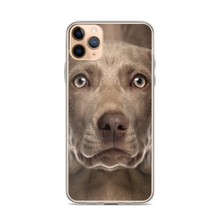 iPhone 11 Pro Max Weimaraner Dog iPhone Case by Design Express