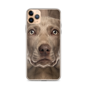 iPhone 11 Pro Max Weimaraner Dog iPhone Case by Design Express