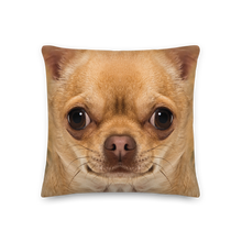 Chihuahua Dog Premium Pillow by Design Express