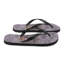 Koala Flip-Flops by Design Express