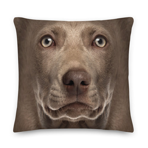 22×22 Weimaraner Dog Premium Pillow by Design Express