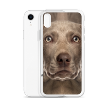 Weimaraner Dog iPhone Case by Design Express