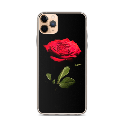 iPhone 11 Pro Max Red Rose on Black iPhone Case by Design Express