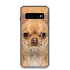 Samsung Galaxy S10 Chihuahua Dog Samsung Case by Design Express