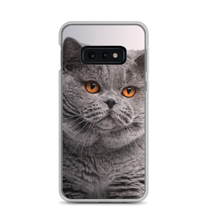 Samsung Galaxy S10e British Shorthair (Cat Lover) Samsung Case by Design Express