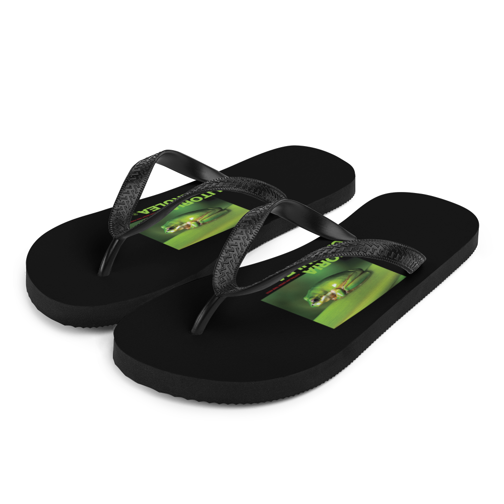 S Litoria Caerulia Flip-Flops by Design Express