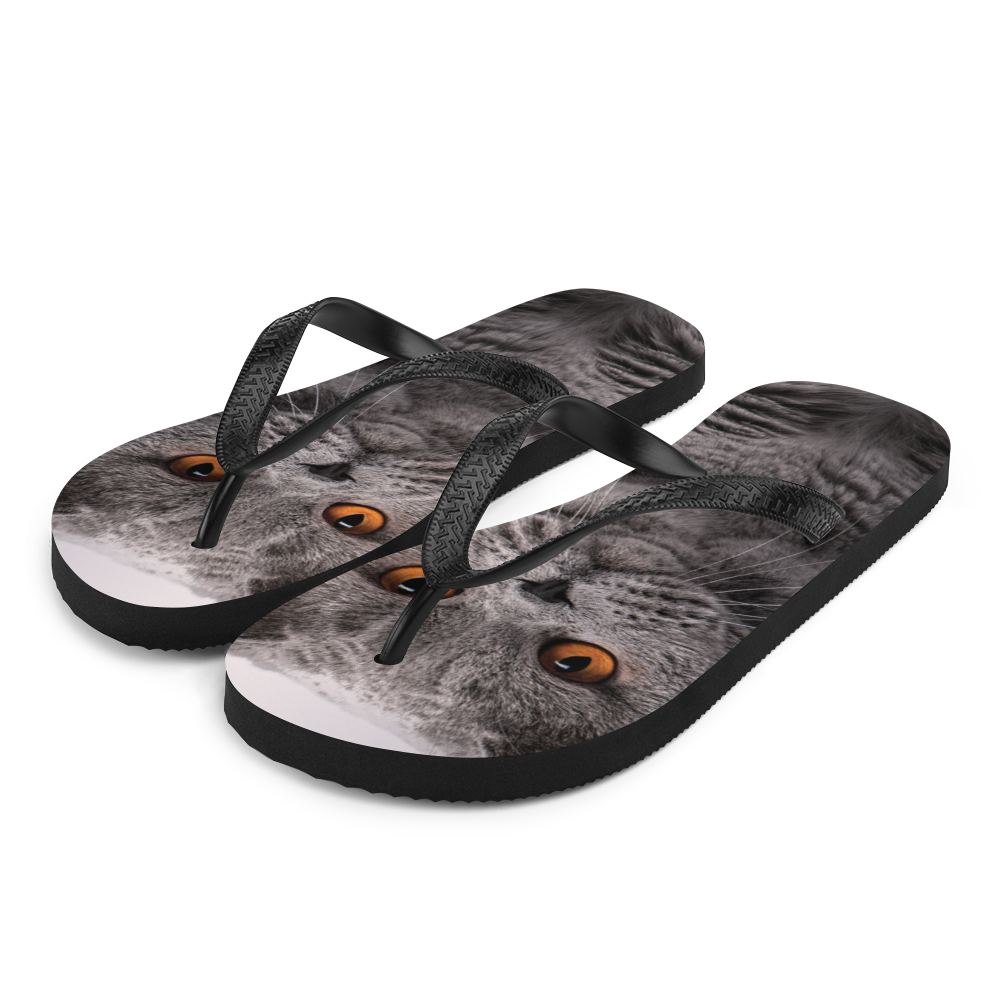 S British Shorthair (Cat Lover) Flip-Flops by Design Express