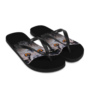 Owl Art Flip-Flops by Design Express