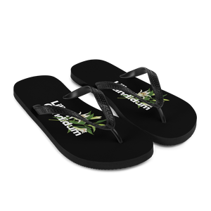 Lilium Candidum Flip-Flops by Design Express