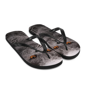 British Shorthair (Cat Lover) Flip-Flops by Design Express