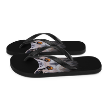 Owl Art Flip-Flops by Design Express