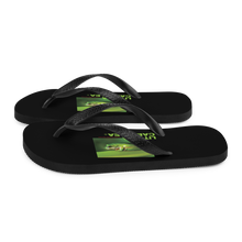 Litoria Caerulia Flip-Flops by Design Express