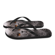 British Shorthair (Cat Lover) Flip-Flops by Design Express