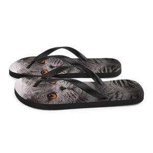 British Shorthair (Cat Lover) Flip-Flops by Design Express