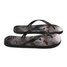 British Shorthair (Cat Lover) Flip-Flops by Design Express