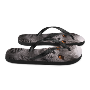 British Shorthair (Cat Lover) Flip-Flops by Design Express